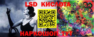 гашик Будённовск