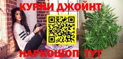 гашик Будённовск
