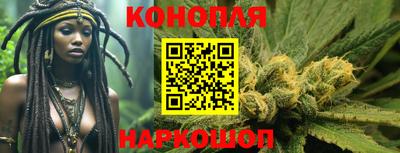 гашик Будённовск