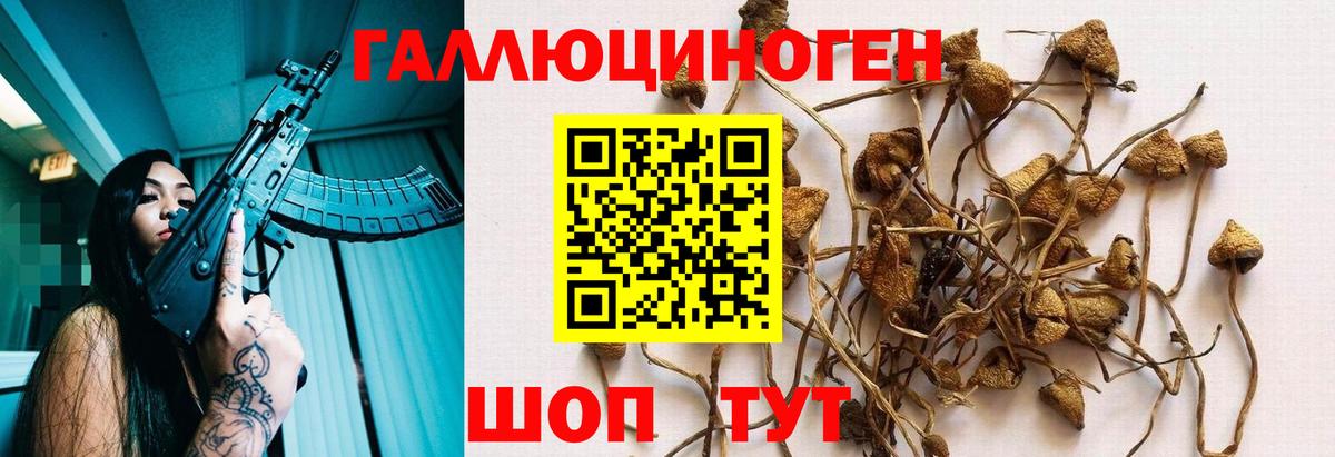 Галлюциногенные грибы Cubensis Туапсе