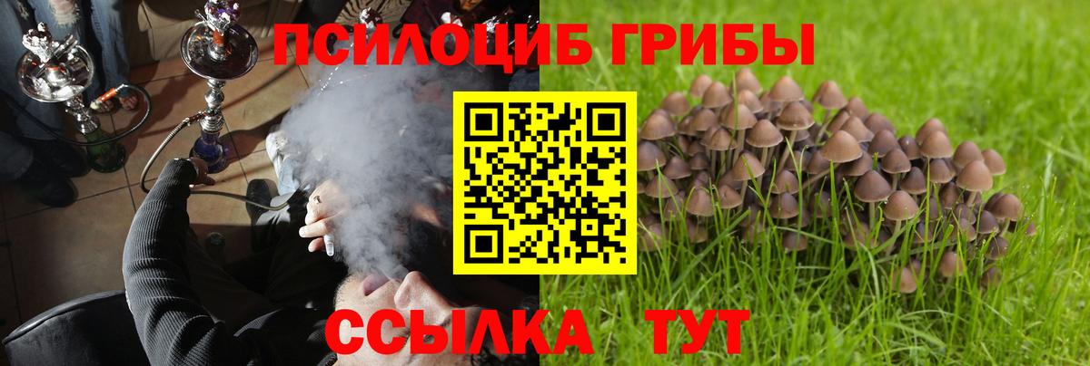 Псилоцибиновые грибы Psilocybine cubensis  Вход с VPN  Туапсе 